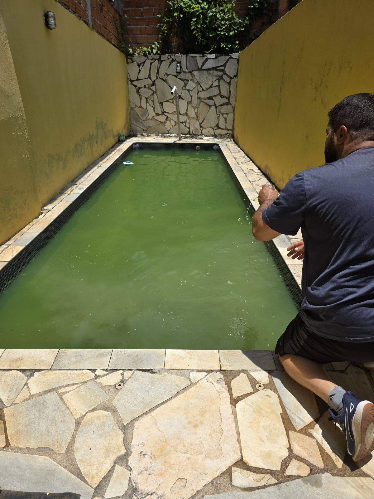 Piscina antes da manutenção, água esverdeada
